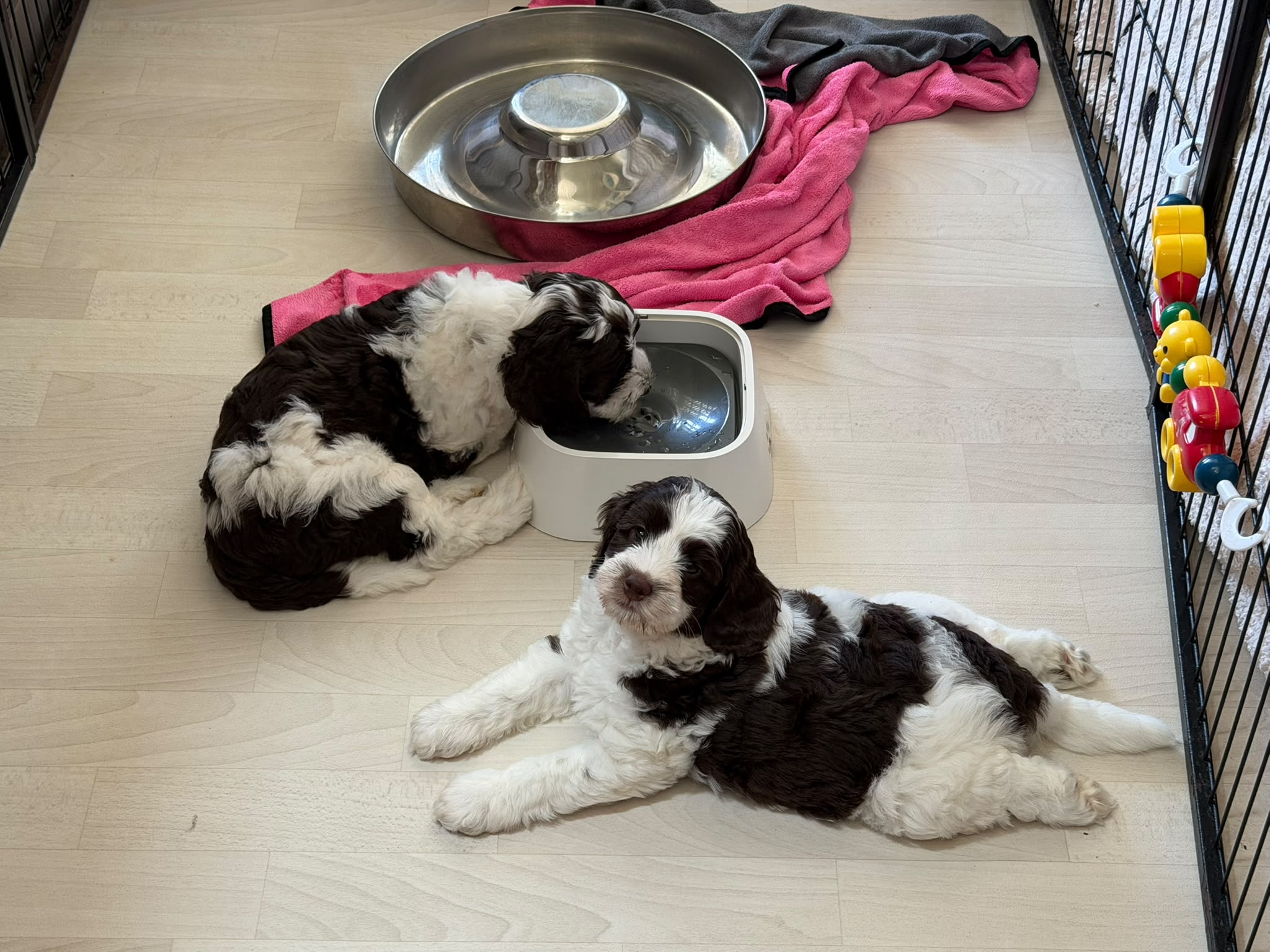 33495d8c-c33f-4c60-a292-1bfabd5d80dc.jpeg